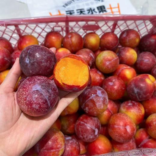 进口太阳李 李子 甜蜜爆汁 商品图0