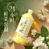 康师傅茉莉花茶900ml 商品缩略图0