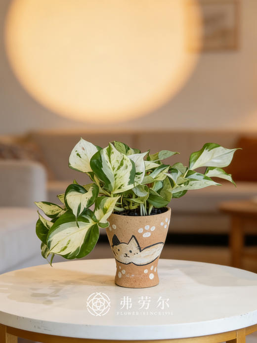 彩绘盆快乐叶子 商品图1