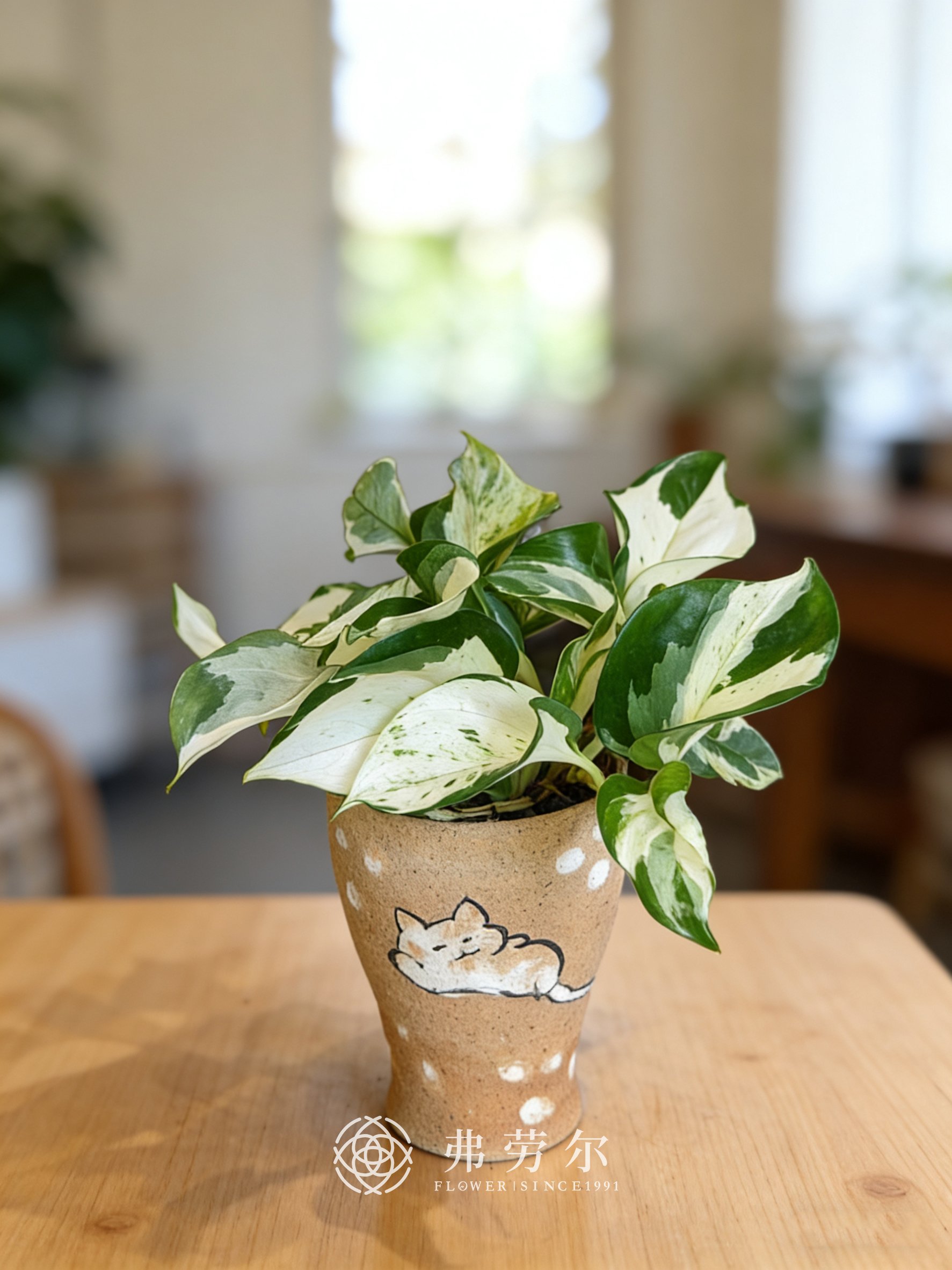 彩绘盆快乐叶子