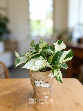 彩绘盆快乐叶子