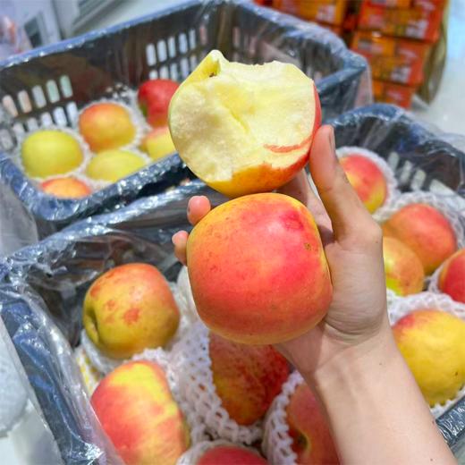 彩虹面苹果 商品图0