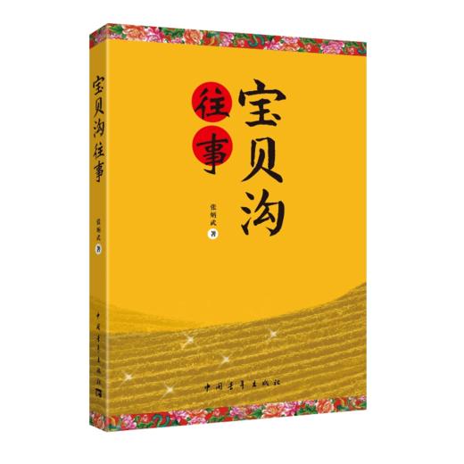 宝贝沟往事 张炳武著 中国青年出版社 商品图2