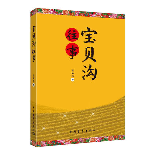 宝贝沟往事 张炳武著 中国青年出版社 商品图1