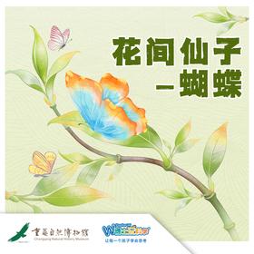 【重庆自然博物馆】花间仙子-蝴蝶