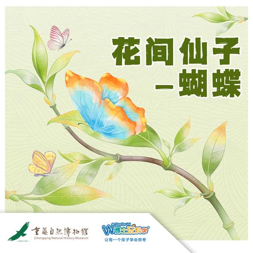 【重庆自然博物馆】花间仙子-蝴蝶 商品图0