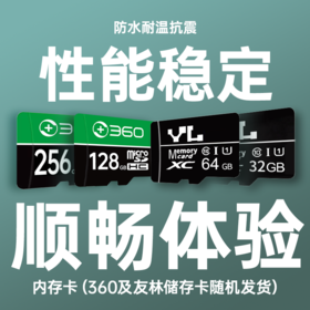存储卡 (安防/车品)