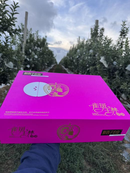 雀斑王林苹果 商品图2