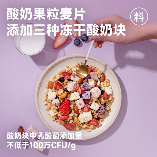 欧扎克酸奶果粒麦片100g 商品图1