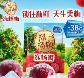 溜溜梅冻杨梅120g