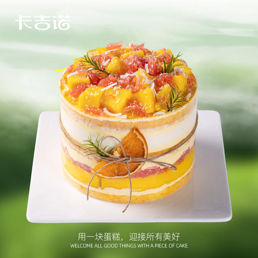 6英寸杨枝甘露动物奶油蛋糕，配送到家2选1 商品图1