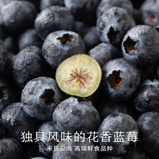 南食召 本味蓝莓酱 商品图1