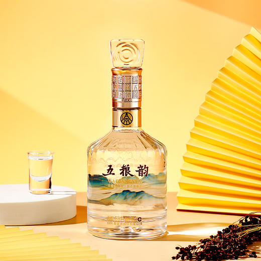 52度五粮韵拓展系列酒水晶韵（韵拾）500ml 单瓶 商品图4