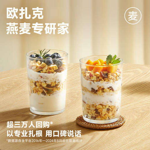 欧扎克水果坚果混合麦片100g 商品图5
