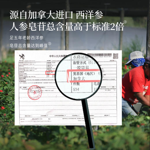 正安 四宝粉 四味协同温和润养气力双生 超微打粉好吸收 早晚一杯滋养身心 60g（3g×20）/盒 商品图4