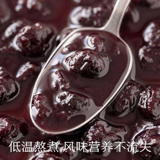 南食召 本味蓝莓酱 商品图3