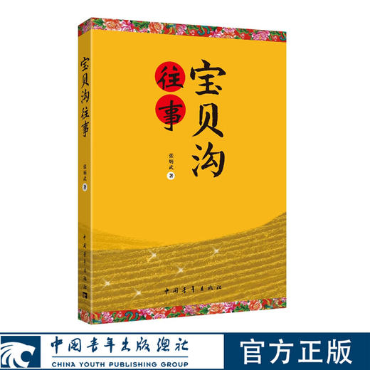 宝贝沟往事 张炳武著 中国青年出版社 商品图0