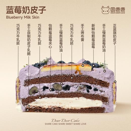 蓝莓奶皮子 商品图1