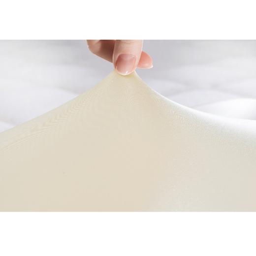 Sealy丝涟 山茶基晚安枕 商品图4