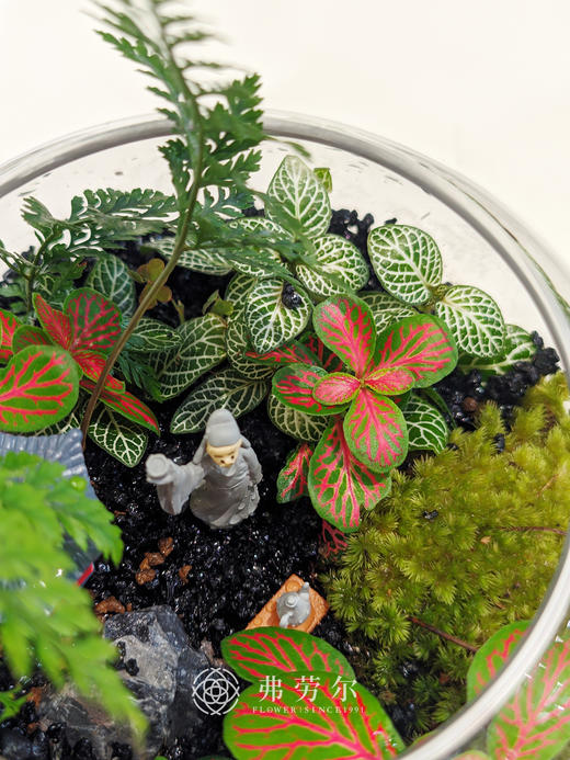 圆形微景观小 商品图1