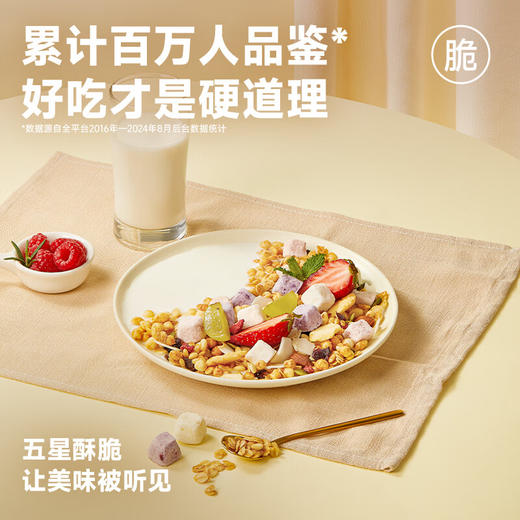欧扎克水果坚果混合麦片100g 商品图2