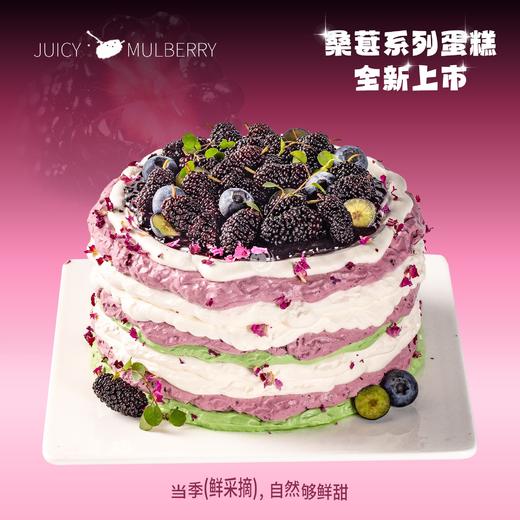 6英寸桑葚蓝莓动物奶油蛋糕，配送到家3选1 商品图2