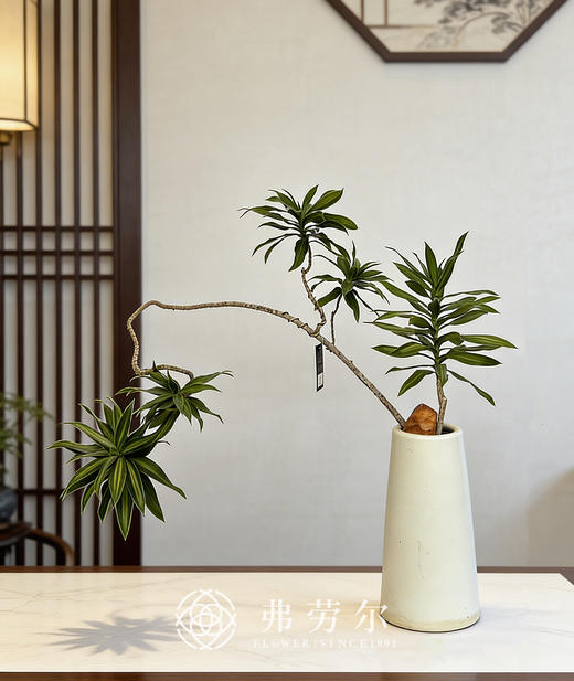 造型百合竹 商品图0