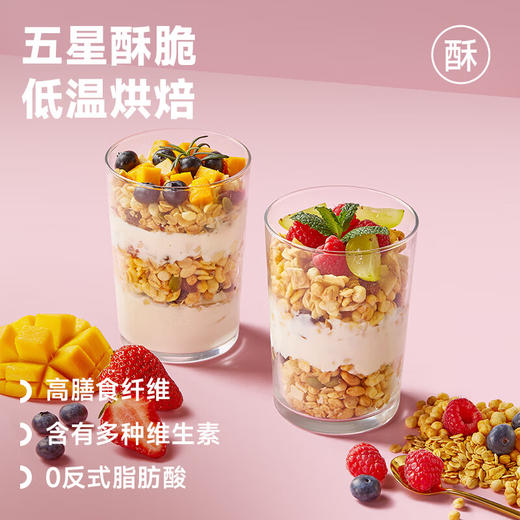 欧扎克水果坚果混合麦片100g 商品图1