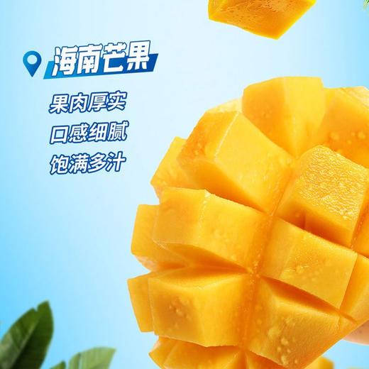 溜溜梅海南芒果抱抱梅70g 商品图2