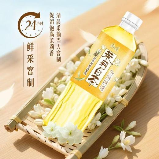 康师傅茉莉白茶900ml 商品图0
