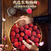 溜溜梅冻杨梅120g 商品缩略图1
