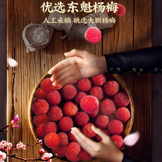 溜溜梅冻杨梅120g 商品图1