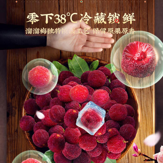 溜溜梅冻杨梅120g 商品图2