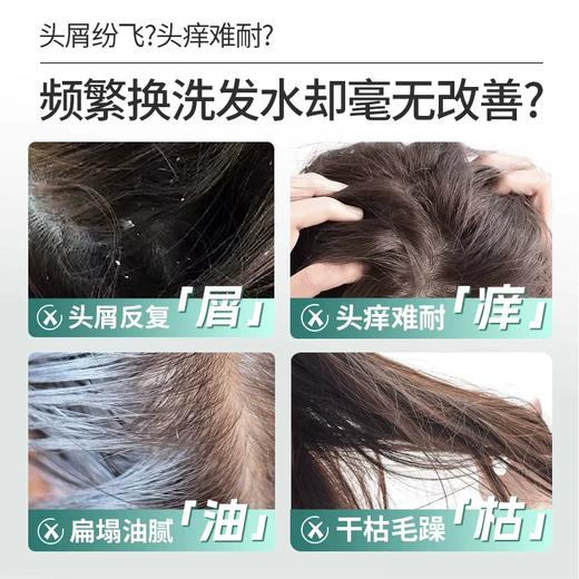 舒蕾氧活O2 Dynamic-控油去屑洗发露 750g 商品图2