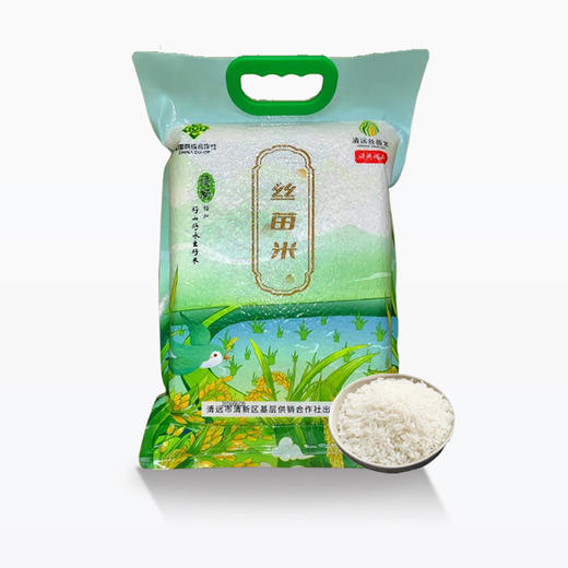 【清新供销出品】清远清新丝苗米 真空包装 商品图0