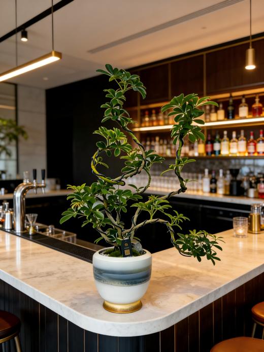 造型吸财木 商品图1