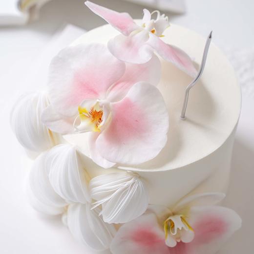 优雅|蝴蝶兰蛋糕【B5228】 商品图2