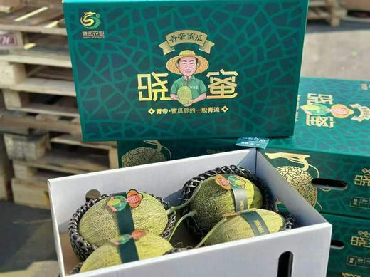 青帝蜜瓜，香味浓郁 商品图1