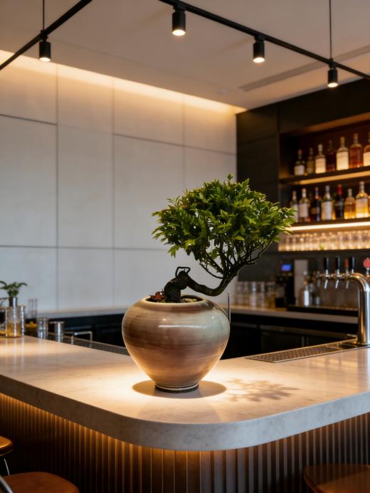 造型紫檀 商品图1