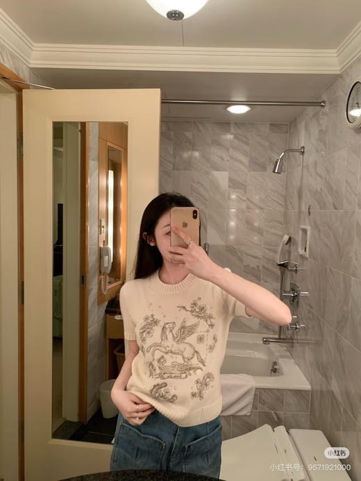 CD新款飞马花卉刺绣短袖针织衫 商品图1