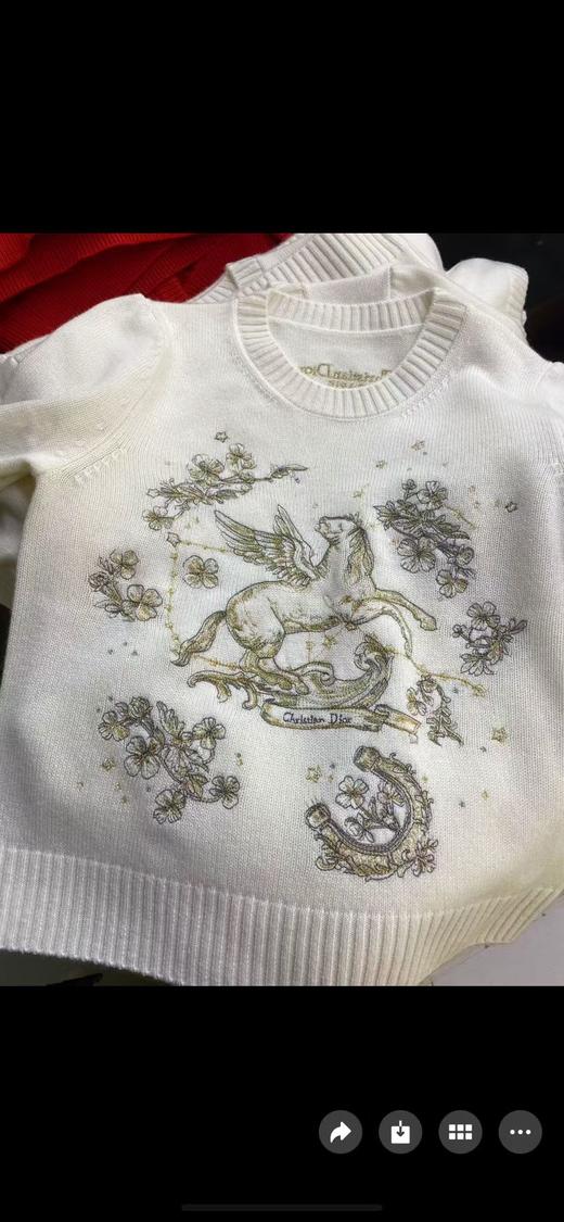 CD新款飞马花卉刺绣短袖针织衫 商品图3