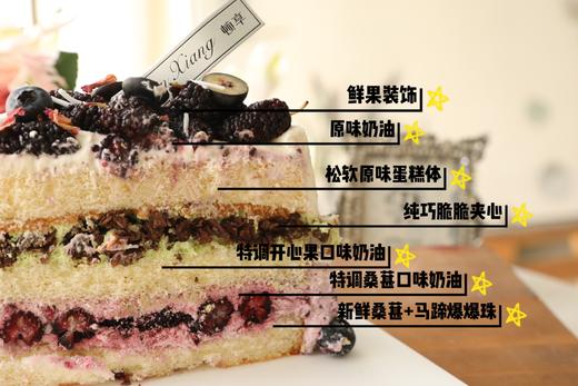 「口味经典」桑葚口味奶油—最后一抹雪 商品图1