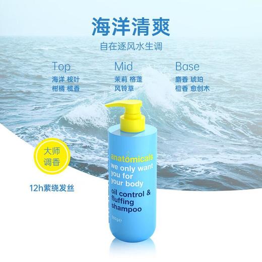 安娜魅纳 控油蓬松洗发水300g（海洋清爽/全澄热恋） 商品图2