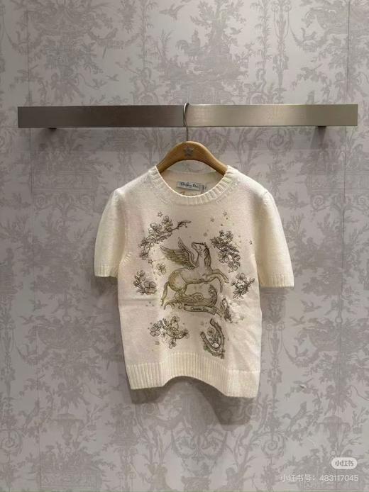 CD新款飞马花卉刺绣短袖针织衫 商品图0
