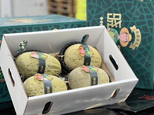 青帝蜜瓜，香味浓郁 商品图0