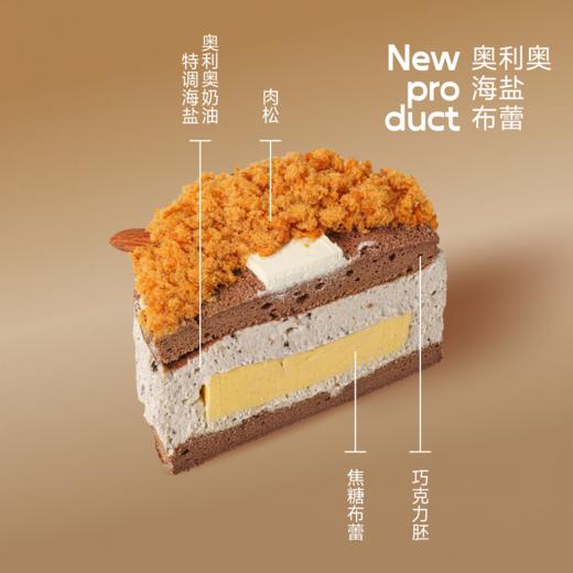 打工马 商品图1