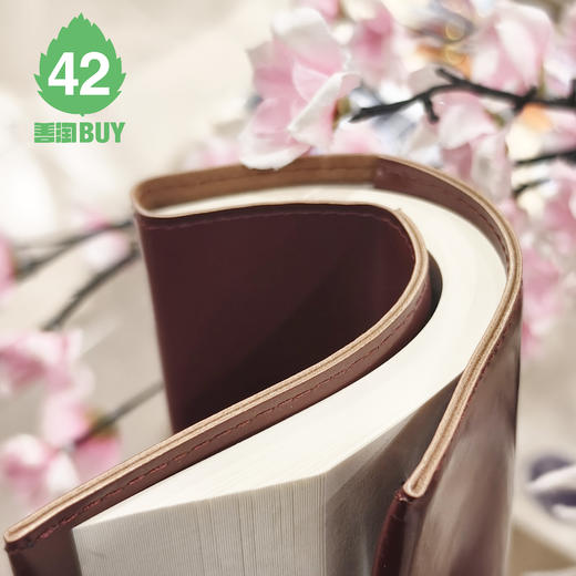 绑带笔记本学生文具松紧带手账本简约肤感皮日记本（不同颜色随机） 商品图2
