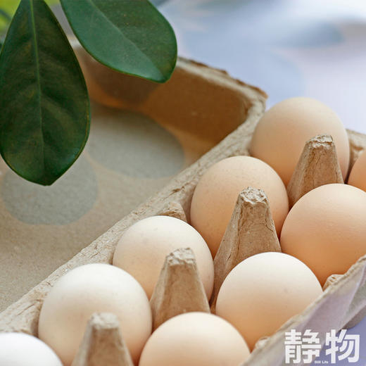 有机鸡蛋10枚/盒｜安徽宿州 商品图1