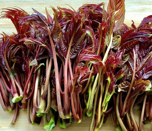 115香椿芽  150克  春日限定 商品图0