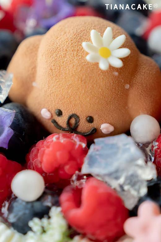 花漾告白-【椰香莓果】 商品图5